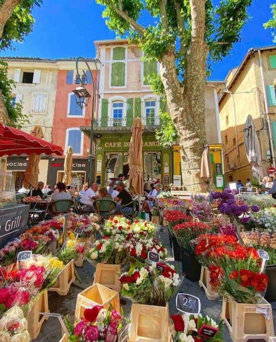 La Loge Familiale: 110M2, Place Rose Goudard, Ac L'Isle-sur-la-Sorgue Kültér fotó