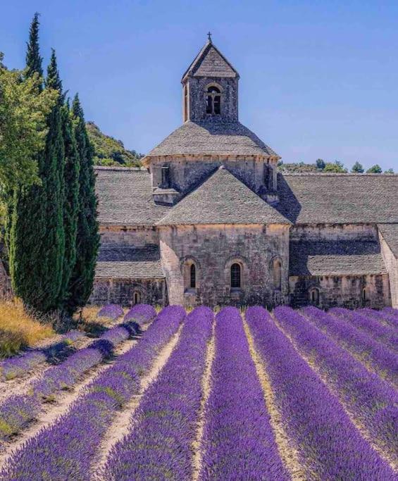 La Loge Familiale: 110M2, Place Rose Goudard, Ac L'Isle-sur-la-Sorgue Kültér fotó